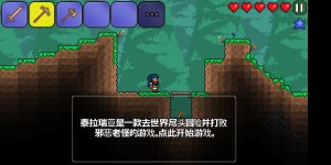 Screenshot_2024-06-27-18-18-48-597_com.and.games505.TerrariaPaid.jpg