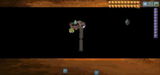 Screenshot_2025-01-03-11-56-16-27.jpg