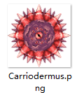 1746628011151.png