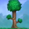 [📂安装包]Terraria1.3.0.7.8（PE）